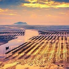 Mochtar Lubis avatar