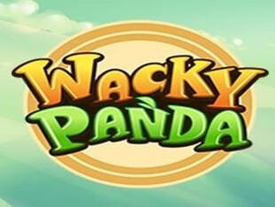 Wacky Panda game icon