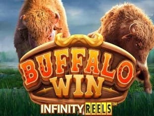 Buffalo Win game thumbnail